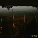 일암천 이미지