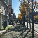 미리내차량관리 이미지