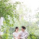 심플로지