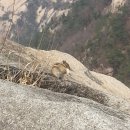 오성 발전소 이미지