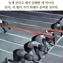 여행스토리 네이버블로그