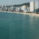 다이나믹 게스트하우스