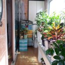 빌라트E 이미지