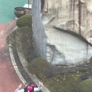 미영(아) 이미지