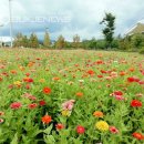 문암생태공원(바베큐장) 이미지