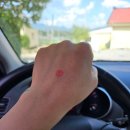 태봉리 마을회관 이미지