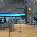 대한오토 | 인천공항 제2여객터미널 대한항공 오토 체크인 셀프 수하물 후기