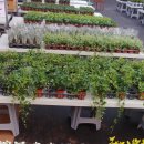 진열농장 이미지