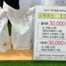 2025년 3월 수원 매쎄 코베 추천상품 솔직후기 실망 주차도 안되고 물건 설명도 이상했던 베이비페어