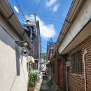 읍내12통(서문리) 이미지