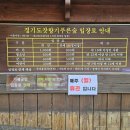 잣나무향기 이미지