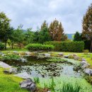 장자호수공원 이미지