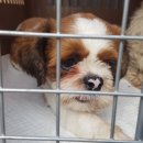 초광산단로 이미지