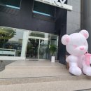 디저트39남춘천점 이미지
