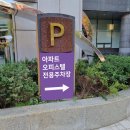 손손디자인 이미지