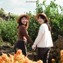 우정농장 이미지