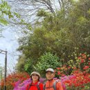 홍교수산 이미지