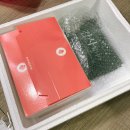 주식회사 루이스킴 | 달사빠 제주 마카롱