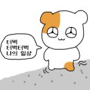 대도상회 이미지