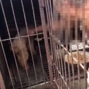 손의개농장 이미지