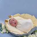 로얄사임당산후조리원 이미지