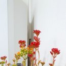 왜관읍사무소 이미지