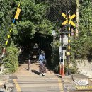 코코호도김천신음점 | 2025년 가을의 기록