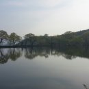 우리산약초 이미지