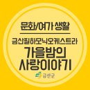 금산필하모닉오케스트라 정기연주회 이미지