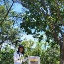 갈맷길(6-2구간) 이미지