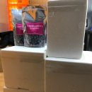 전정금농장 이미지