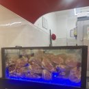 행복한 정육백화점 | 공주 맛집 한우 맛있는 고기백화점정육식당 공주대 맛집