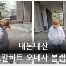 내돈내산_리뷰_칼하트 오데사 캡 볼캡 모자(100289)