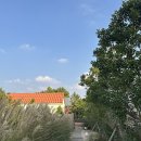 슬로메이 이미지