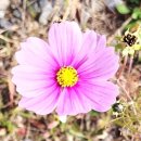 정원1호 태양광발전소 이미지