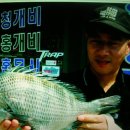 은성낚시 - 거제시 | 은성낚시