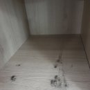 스페스큐브 이미지