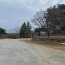 읍내카페 Daum카페
