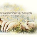 온세교회