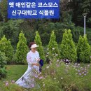 신구대학교 Daum카페