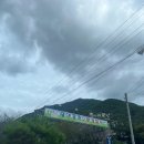 밀양 여행 밀양표충오토캠핑장 참나리2,3번