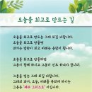 인셀덤소망