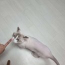 KT남수원지사 앞 이미지