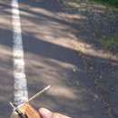 길섶나그네휴양펜션 | 제주 숙박. 길섶나그네