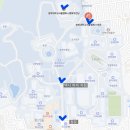 평화교통(주) | 250914 포레스텔라 THE WAVE 앙콘 경희대 평화의 전당 후기 - 더웨이브 앵콜 막콘, 1층 D 구역 시야