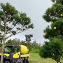 해비치 | 제주 해비치호텔 방문 후기 🏩 | 제주 호텔 추천 | 제주 관광 이 글 하나로 끝내자 💚🏝️