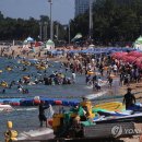 청호해수욕장 티스토리