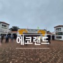 랜드숲 | 제주 에코랜드 곶자왈 숲속 기차여행 후기
