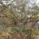 아담유치원 이미지