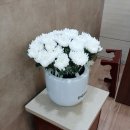 선행상조서비스
